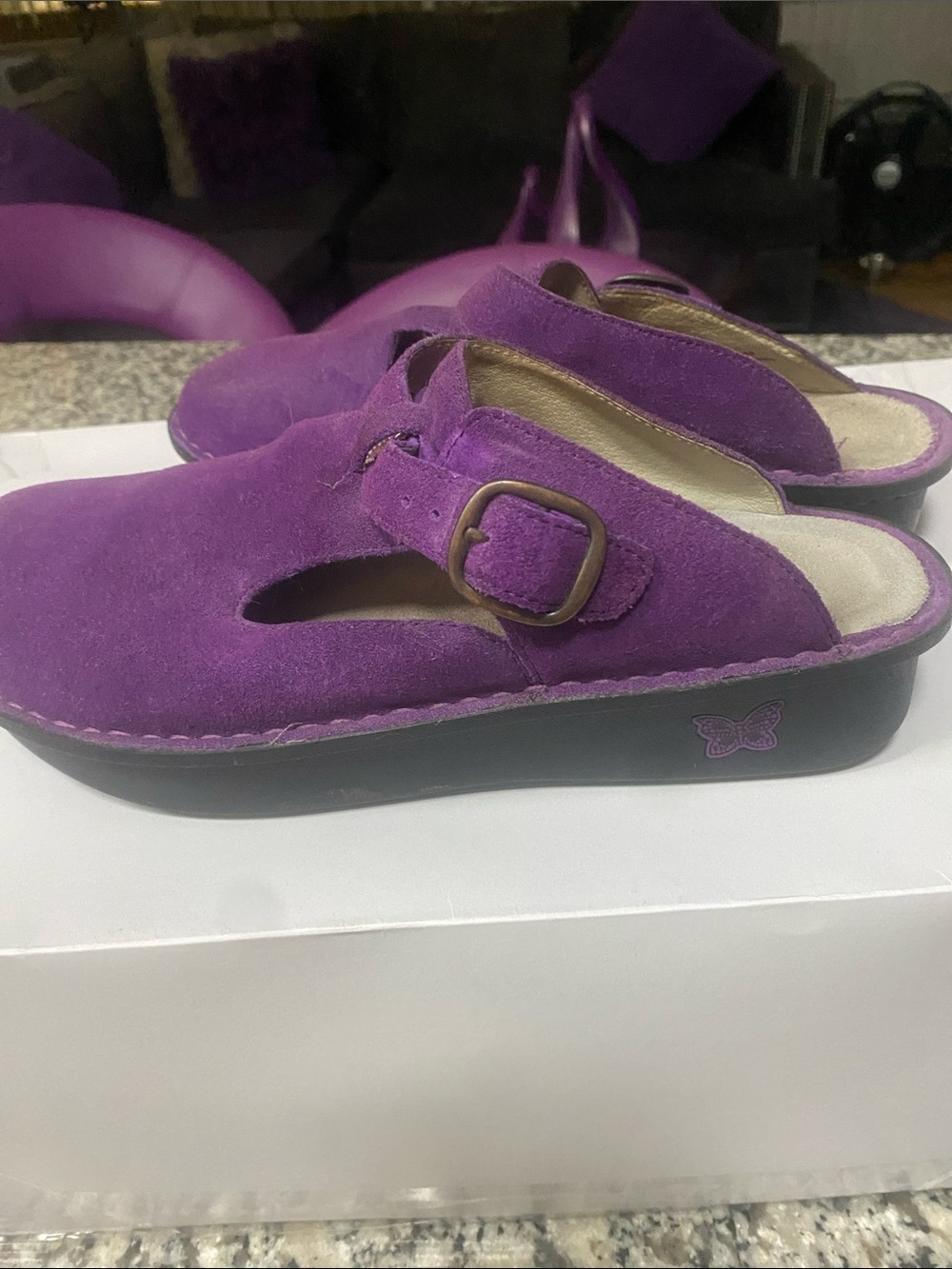 Alegria Purple Suede Buckle Clogs for Women